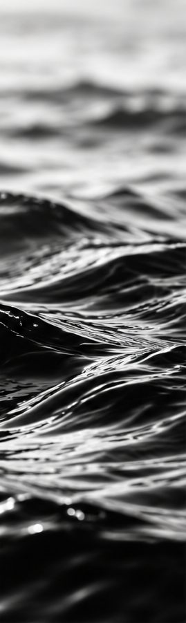 Olas del mar en blanco y negro
